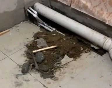 宜都卫生间漏水检测哪家好